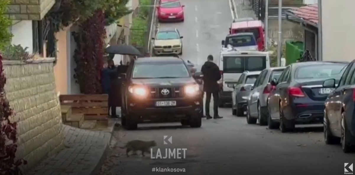 Macja i solli ters, dështimi i Qeverisë 'Kurti 3' (VIDEO)