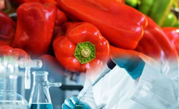 Mbetje pesticide mbi normë, Sllovenia bllokon një sasi specash nga Shqipëria