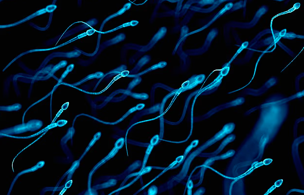Sperma e meshkujve mbi 40 vjeç përcjell mutacione që shkaktojnë sëmundje tek fëmijët