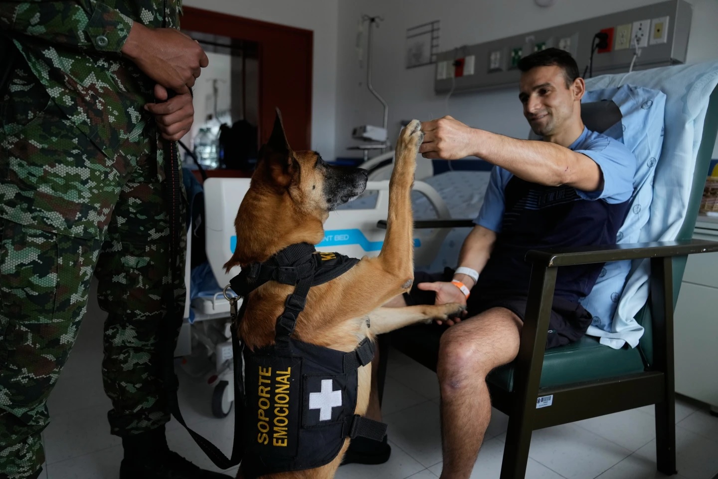 Ushtarët kolumbianë gjejnë ngushëllim te qentë mbështetës emocionalë