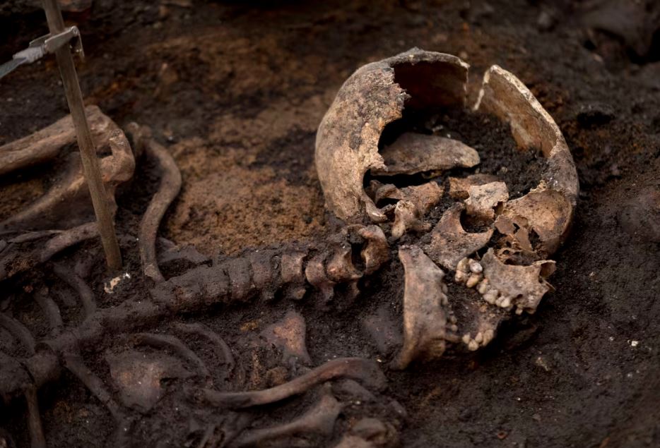 Shkencëtarët zbulojnë hormonet e shtatzënisë në kocka deri në një mijë vjeçare