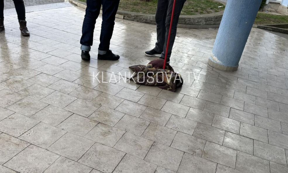 Me batanije pastrohet hapësira te qendra e votimit në Milloshevë