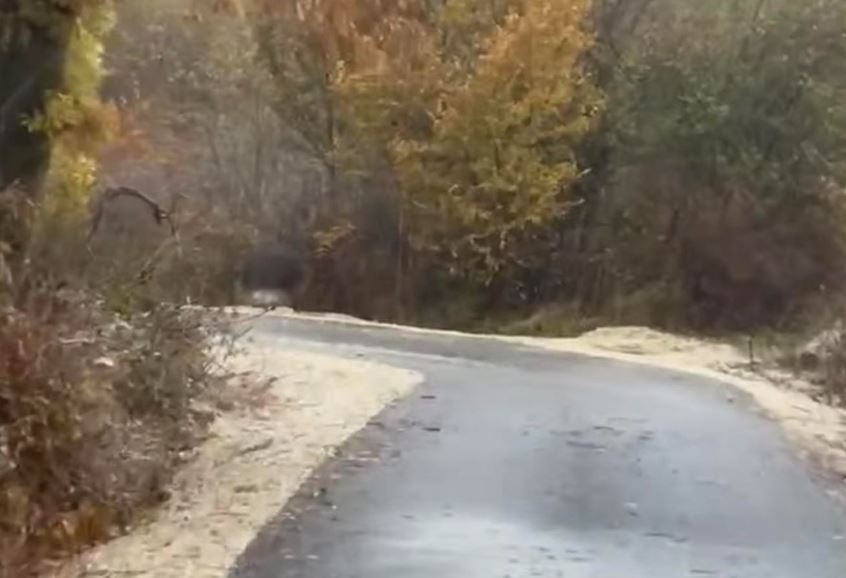 Aksidentohet traktori në Istog  lëndohet shoferi