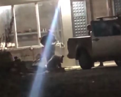 Kapen arinjtë që shqetësuan banorët e Bellobradit të Dragashit  VIDEO 