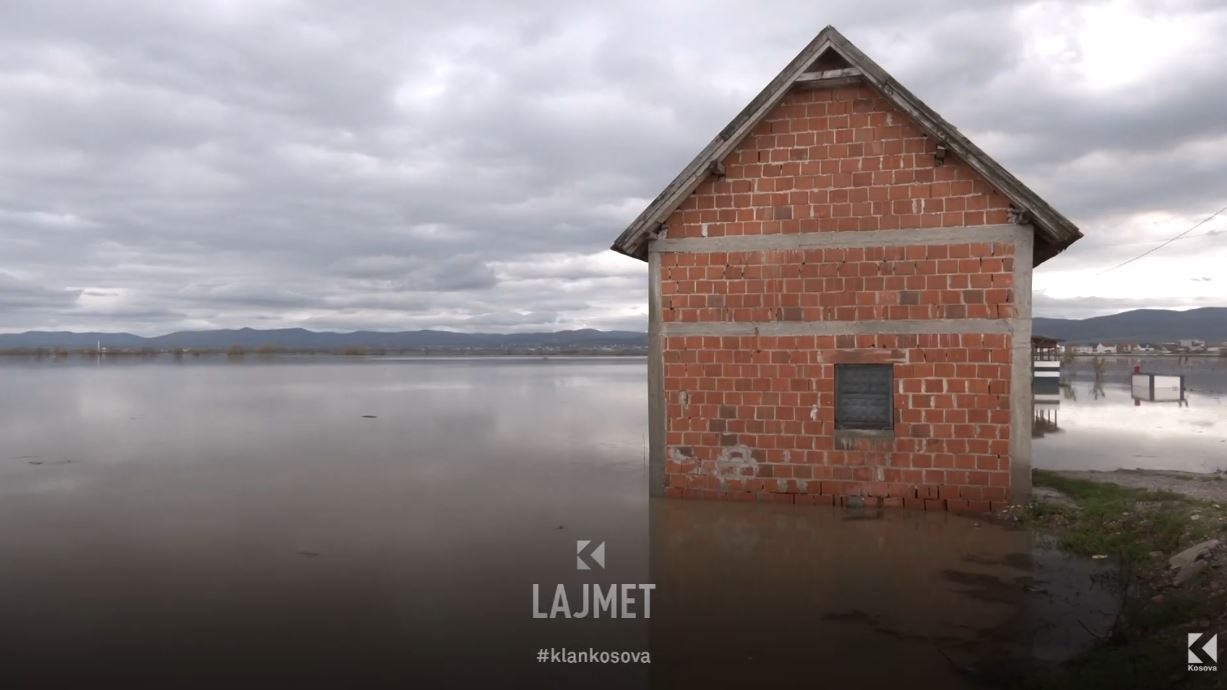 Vërshimet në Tërrn: Uji merr shtëpi, mezi shpëtuan njerëz e lopë (VIDEO)