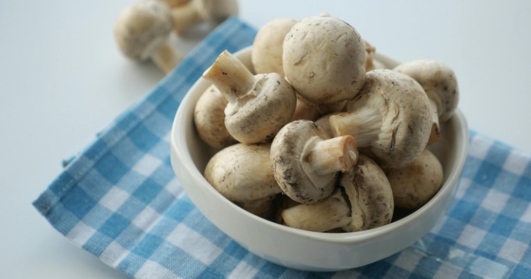 Shtatë mënyra se si kërpudhat mund të përmirësojnë shëndetin tuaj