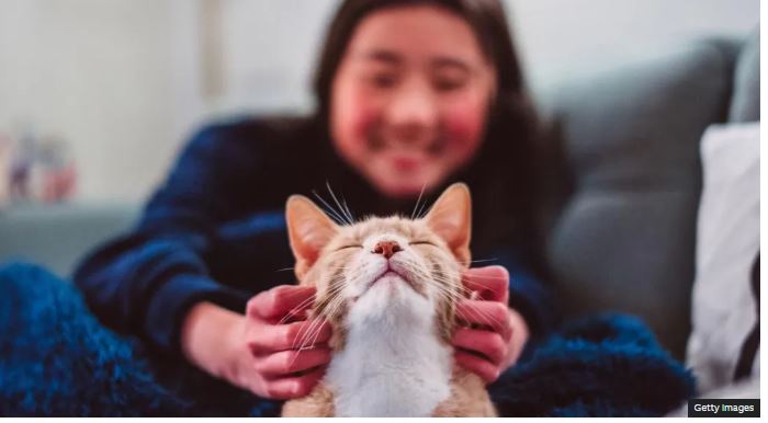 macet-u-bene-shoqerueset-tona-shume-me-vone-nga-sa-mendohet