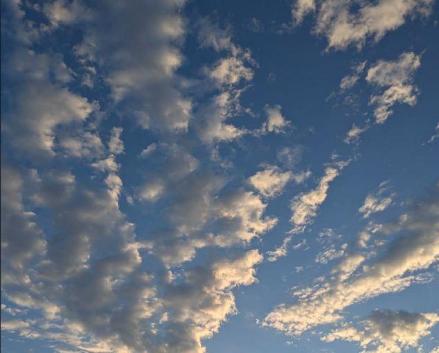 parashikimi-i-motit-per-diten-e-neserme