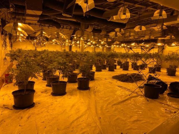 policia-zbulon-nje-shtepi-bari-djali-ne-pranga-procedohet-nena-dhe-shpallet-ne-kerkim-babai