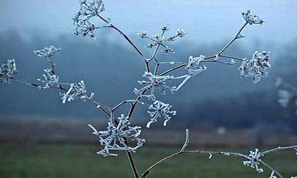 Mot i ftohtë  temperaturat në minus