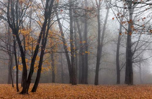 E hëna nis me acar  dita zbut temperaturat