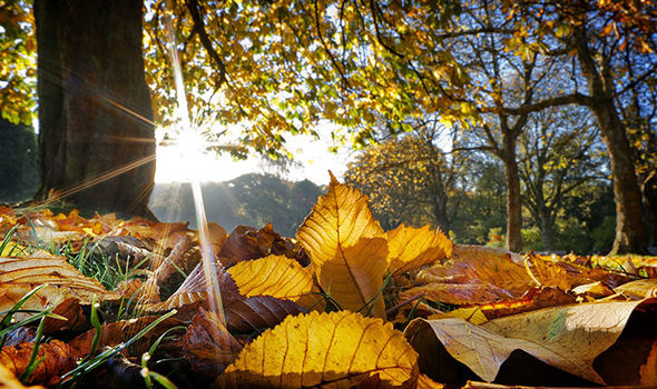 mot-i-vranet-e-me-diell