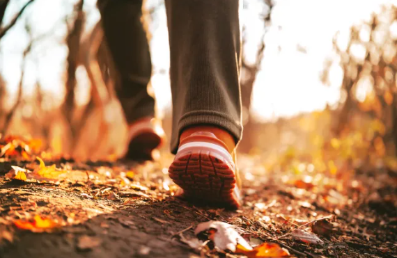 ec-pak-jeto-me-gjate-ja-cfare-thote-shkenca