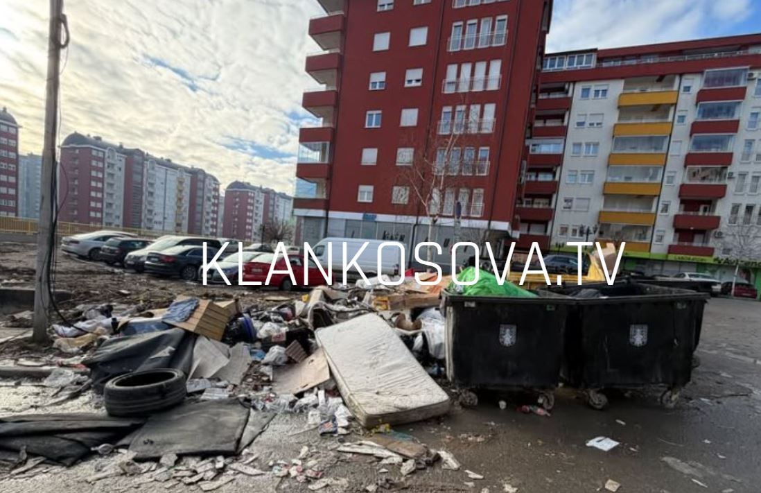 Gjendje e mjerueshme nga mbeturinat në Arbëri