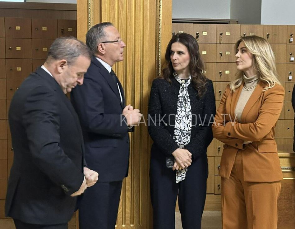 Hamza me bashkëpartiakë nderojnë figurën e Nexhat Dacit