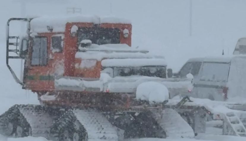 Ortek në Kaliforni  10 skiatorë raportohen të zhdukur