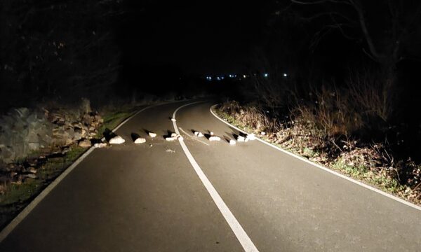 Arrestohet i dyshuari që vendosi gurë në një rrugë të Klinës