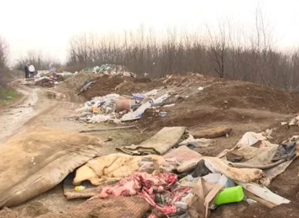 Mbeturinat mbulojnë rrugët në disa lagje të Prizrenit (VIDEO)