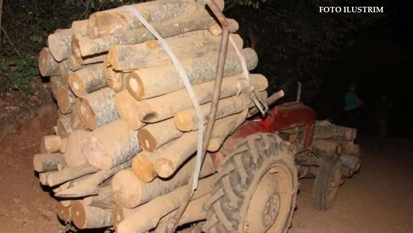 Gjilan: Kapet një burrë duke transportuar ilegalisht drunj