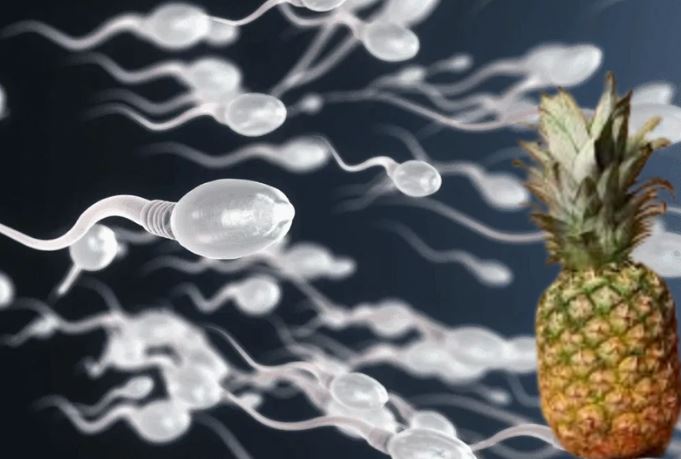 Ananasi ndryshon shijen e spermës? Zbulimi që do të habisë burrat!
