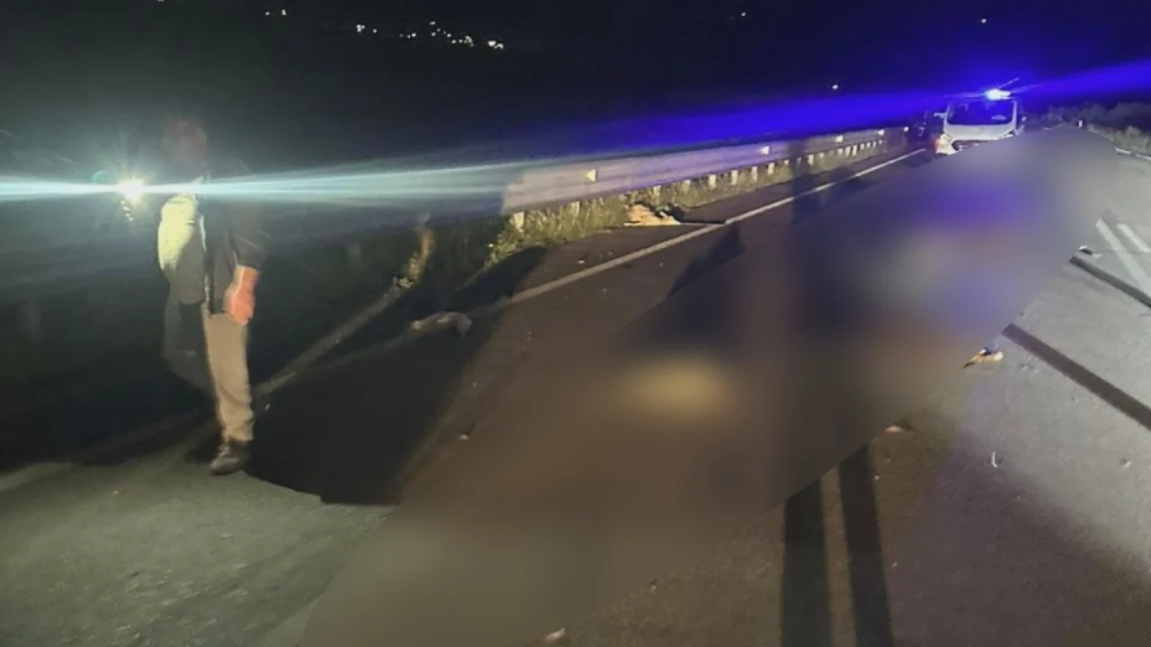 Aksident në Orikum, automjeti përplas 10 dhi dhe çobanin