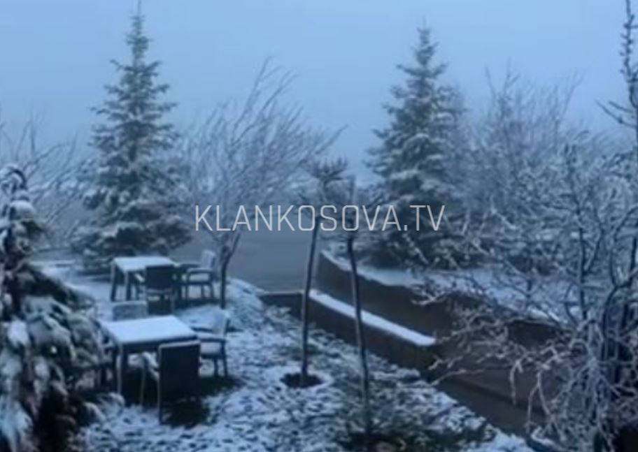 Prevalla mbulohet nga petku i bardhë i borës (VIDEO)
