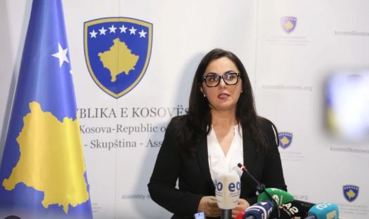 Lushaku: Kurti po prodhon kriza për të qeverisur i pambikëqyrur, tipike autoritare