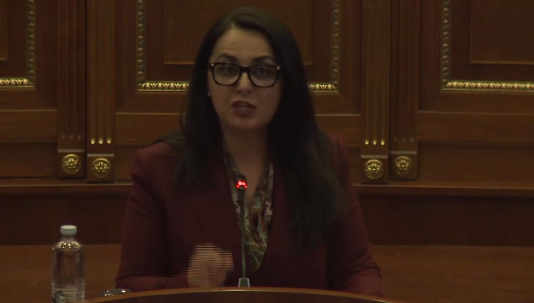 LDK-ja nuk voton: Mos i kaloni ligjet pa debate, mos impononi agjenda