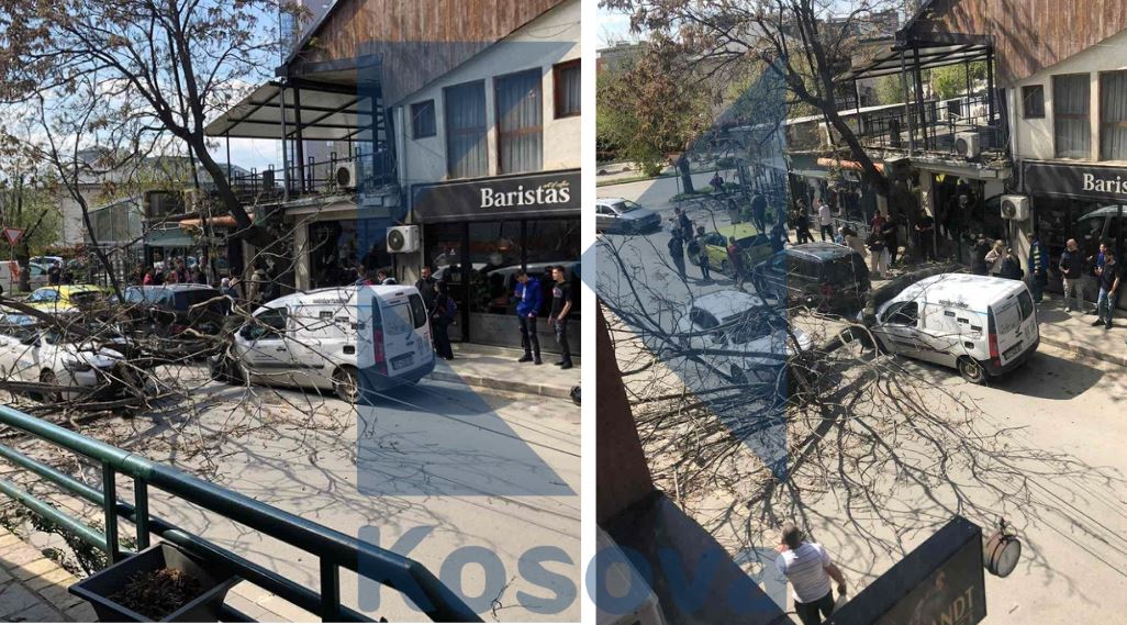 Rrëzohet lisi në Prishtinë, dëmton dy vetura të parkuara (VIDEO)