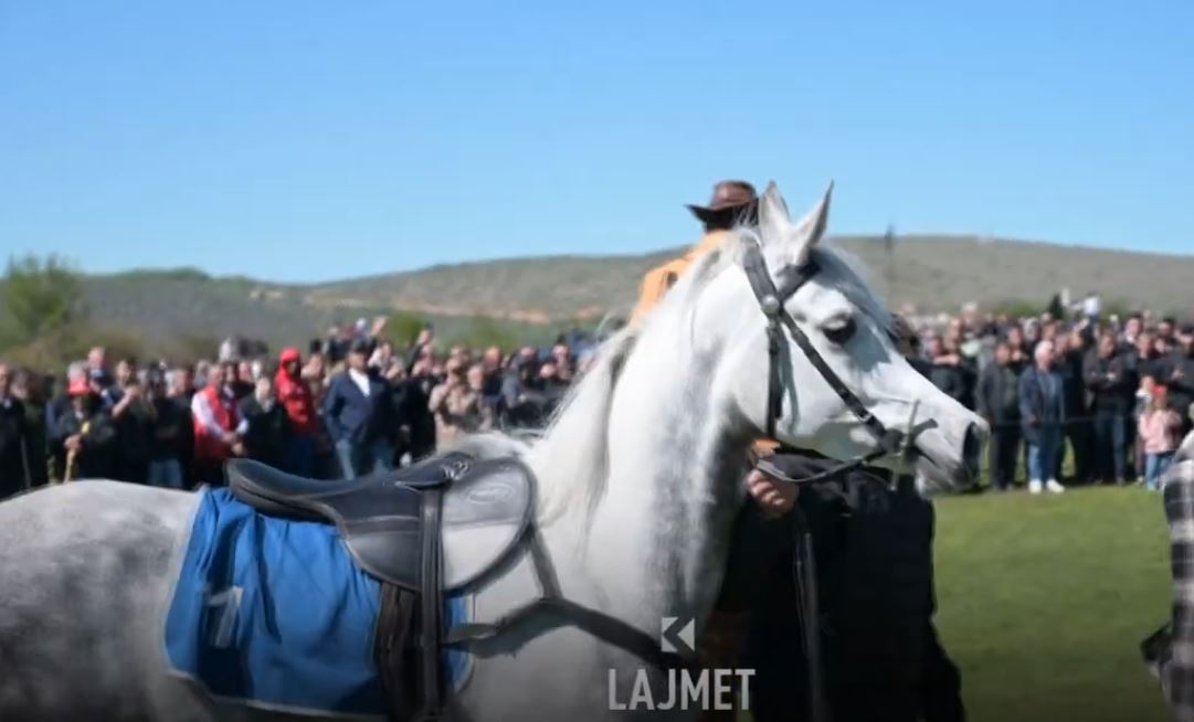 Klubi “Opoja”: Garë kuajsh në' mejdanin' e Opojës (VIDEO)