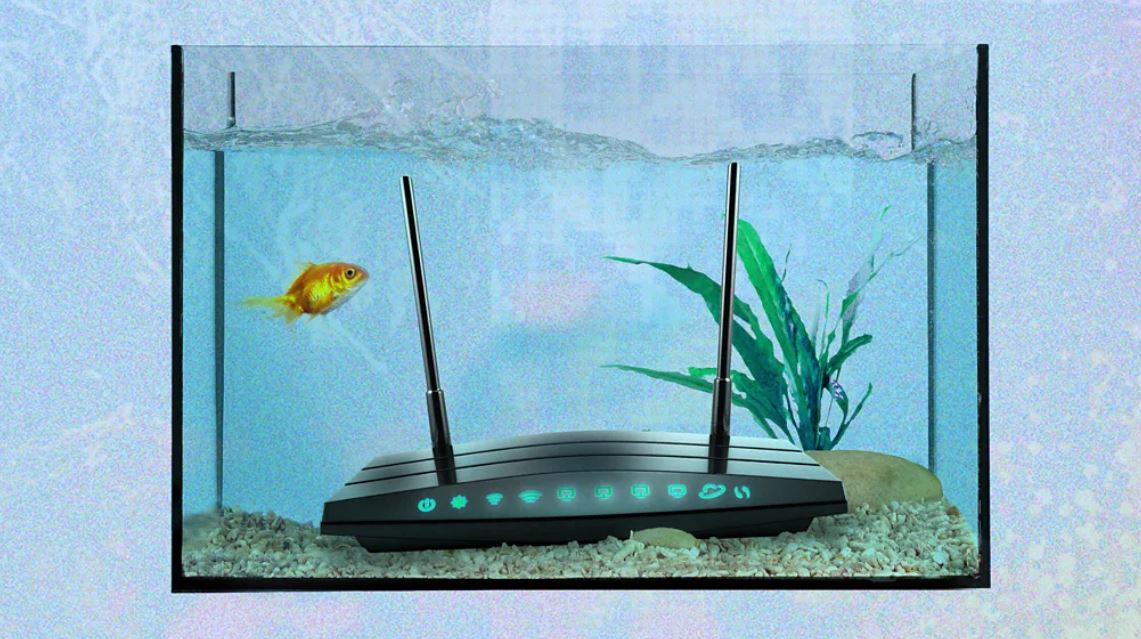 Këto janë gjërat më të çuditshme që prishin Wi-Fi-në