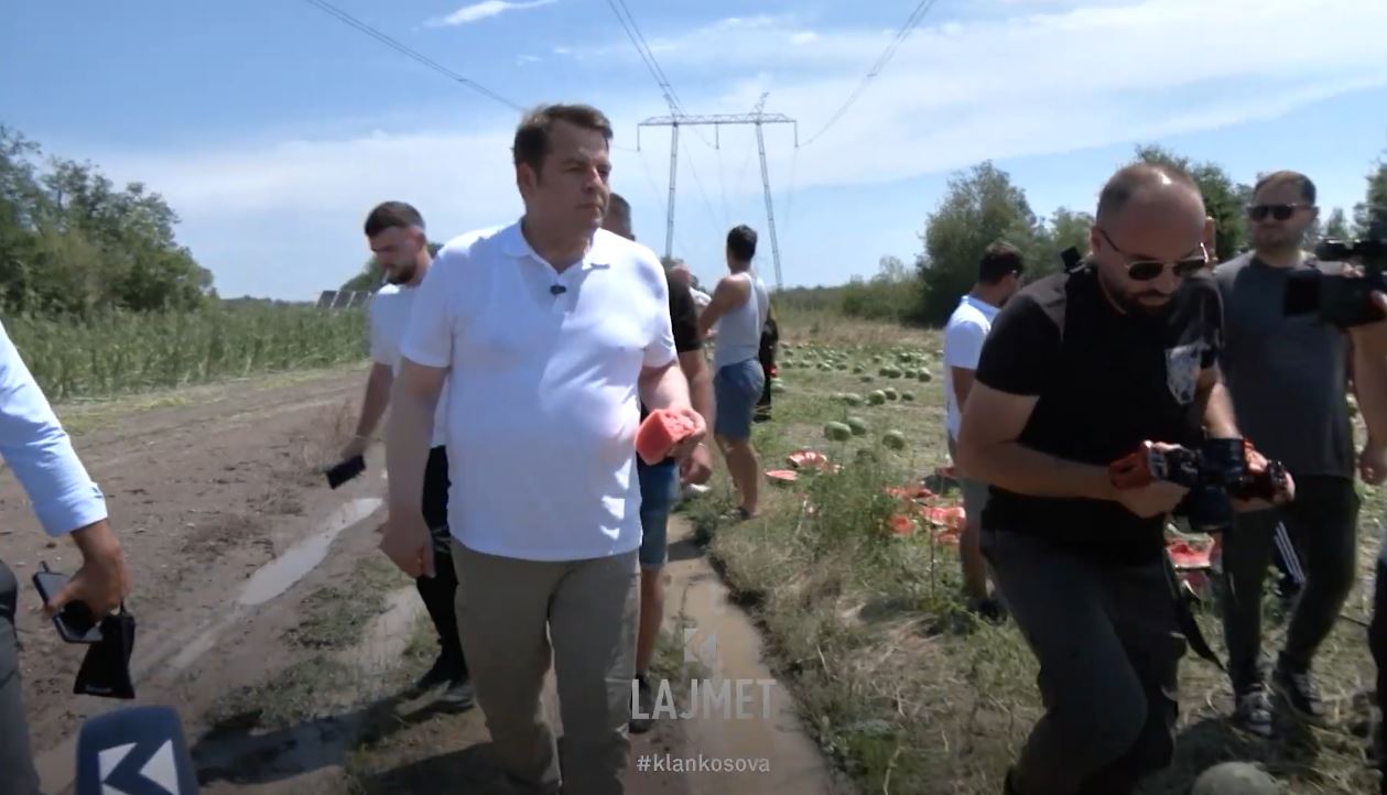 bresheri-shkaterron-bujqesine-ne-istog-gegaj-nga-vleresimet-e-para-rreth-90-e-siperfaqeve-te-mbjella-jane-demtuar