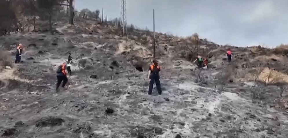 Zjarri katastrofik në Spanjë: 12 të vdekur dhe zona të shkatërruara në Almeria
