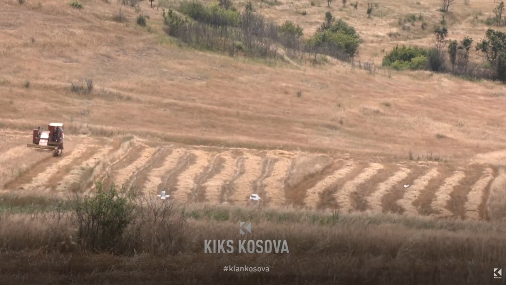 75 ha tokë në Gjilan për kompaninë "fiktive" të farmacistit dhe futbollistit (VIDEO)
